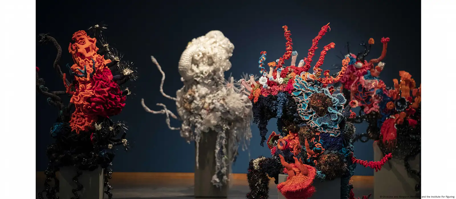 A Vibrant Coral Ecosystem of Thousands of Crocheted Sculptures Confronts  the Climate Crisis — Colossal