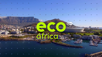 Eco África Portugiesisch 