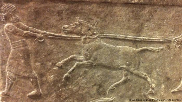 Panel de Nínive: cazando asnos salvajes (645-635 a.C.)