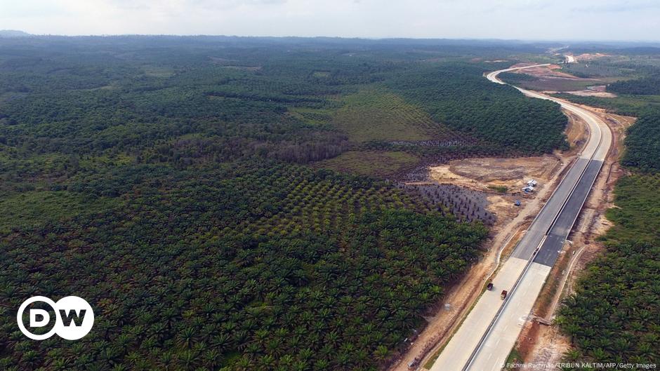 Weg für Indonesiens neue Hauptstadt ist frei