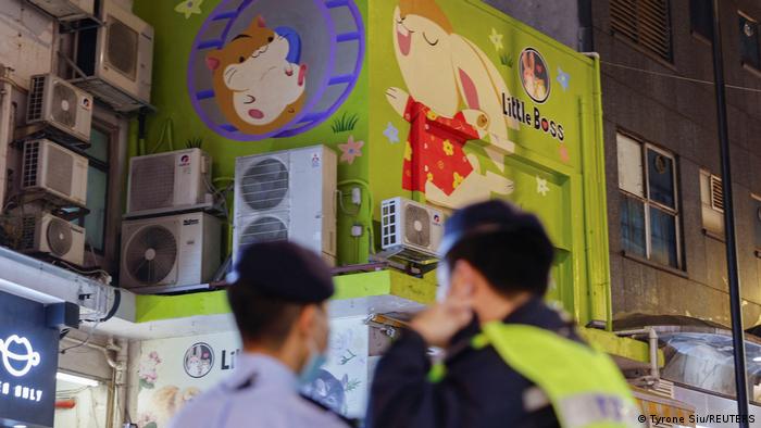 Hongkong Corona Pandemie Hamster werden getötet