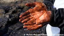 A cyclist shows his oil-covered hands after stopping to put them into the polluted water on Cavero beach in Ventanilla, Callao, Peru, Tuesday, Jan. 18, 2022, after high waves attributed to the eruption of an undersea volcano in Tonga caused an oil spill. The Peruvian Civil Defense Institute said in a press release that a ship was loading oil into La Pampilla refinery on the Pacific coast on Sunday when strong waves moved the boat and caused the spill. (c/Martin Mejia)