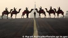 Indian soldier from Border Security Force BSF, the only camel mounted division, stand in formation during rehearsals for the upcoming Beating Retreat ceremony, at Raisina hill in New Delhi, India on January 19, 2022. New Delhi India PUBLICATIONxNOTxINxFRA Copyright: xMayankxMakhijax 