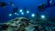 Divers shine lights on a coral reef in the South Pacific Divers shine lights on a coral reef in the South Pacific