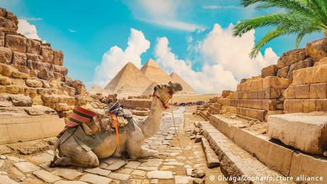 Pyramids and a camel in front of them next to stone steps.
