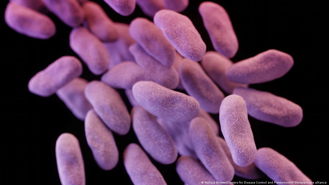 Ilustração divulgada pelos Centros de Controle e Prevenção de Doenças mostra um grupo de bactérias resistentes.