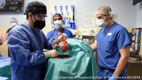 Chirurg Muhammad M. Mohiuddin