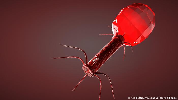 Ilustración de un bacteriófago.