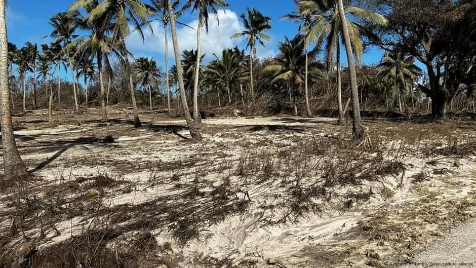 Tonga earthquake tsunami warning live