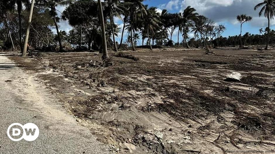 Tonga eruption: Government says over 80% of population affected - DW (English)