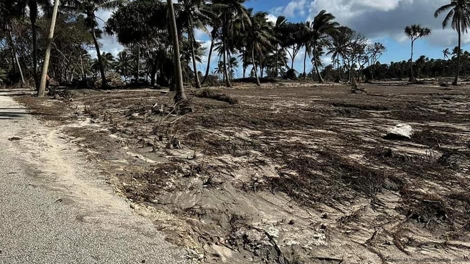 Tonga eruption: Government says over 80% of population affected - DW (English)