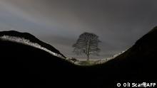 A section of Hadrian's Wall is illuminated during a long exposure near the wall's milecastle 39 known as Sycamore Gap near Hexham, northern England on January 19, 2022. - This year marks the 1900 anniversary of the start of the construction of Hadrian's Wall, which took 6 years to complete and was built to guard the northern frontier of the Roman Empire in 122 AD. The wall ran for 73 miles from the Solway Firth to Wallsend on the River Tyne and is now designated a UNESCO World Heritage Site. The wall featured over 80 milecastles or forts, two observation towers and 17 larger forts. After the Romans left Britain in the early 5th century, some 300 years after the wall was constructed, large sections of the wall fell into decay and were recycled into local buildings and houses. (Photo by OLI SCARFF / AFP)