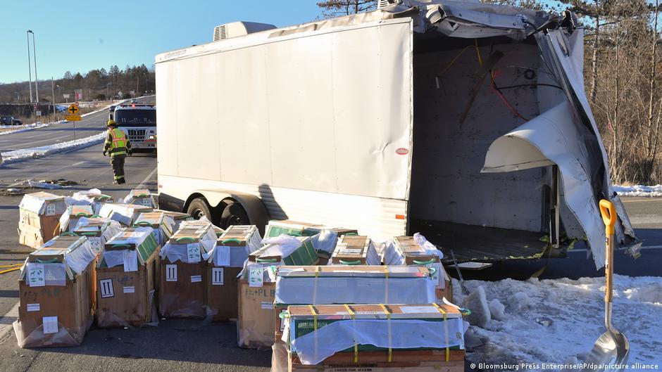 US: Lab monkeys found and killed after Pennsylvania road crash | News | DW - Vimarsana News