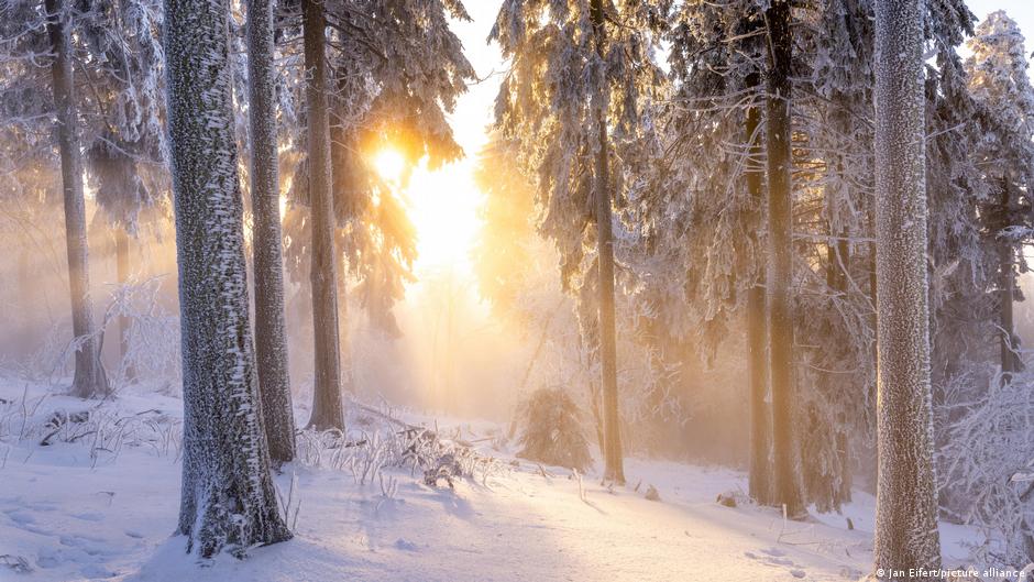 Beli sneg odbija sunčevu svetlost, održavajući tlo hladnim, a kasnije vlažnim