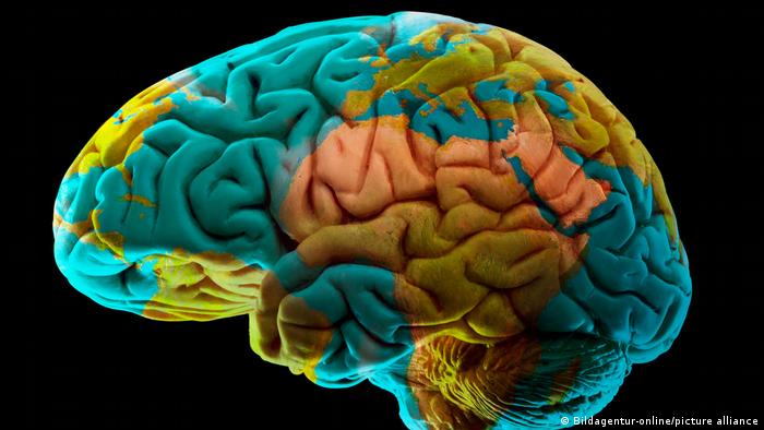 Illustration des menschlichen Gehirns, das wegen seiner Farbigkeit an eine Erdkugel denken lässt. 