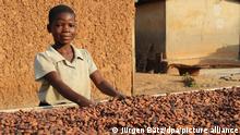 Nine-year-old Moahe helps drying the cocoa beans that were harvested shortly before in th esun in the village Konan Yaokro, Ivory Coast, 1 December 2017. Most chocolate in Germany comes from Weste Africa, where more and more children work in the cocoa plantations. Photo: Jürgen Bätz/dpa