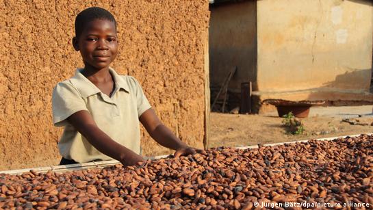 A child helps to dry cocoa beans in the village of Konan Yaokro, Ivory Coast