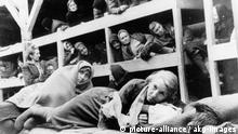 KZ-Auschwitz/Haeftlinge nach d.Befreiung Nationalsozialismus: Konzentrationslager. Konzentrationslager Auschwitz (bei Os- wiecim/ Polen), nach der Befreiung durch sowjetische Truppen am 26.1.1945: - Weibliche Haeftlinge in einer Lager- baracke.- Foto, um Januar 1945.