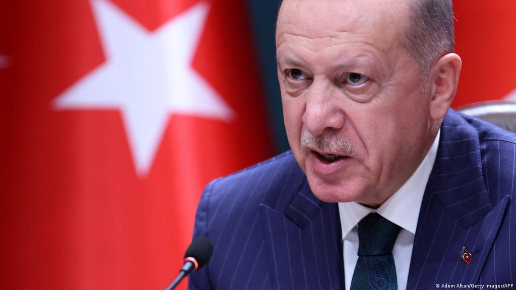 Turkey marshals law to defend Recep Tayyip Erdogan′s honor | News | DW |  12.02.2022