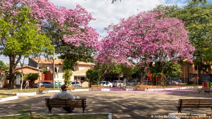 Бягайки надалеч от строгите правила в пандемията, стотици германци се