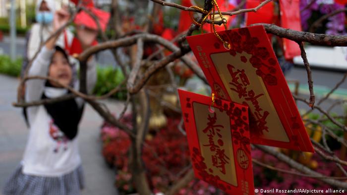 China Neujahr Jahr des Tigers China Neujahr Jahr des Tigers