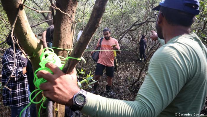 Men in Mumbai mapping mangrove forests