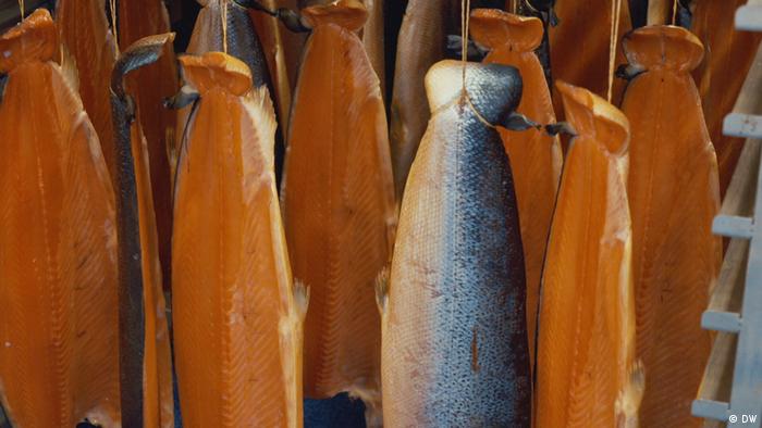El salmón genéticamente modificado fue desarrollado en 1989 pero recién aprobado en 2015.