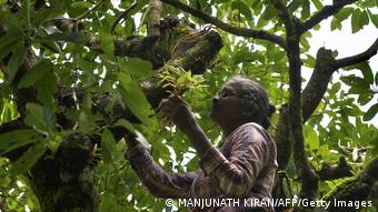 Indien | Baumpflanzung in Kerala