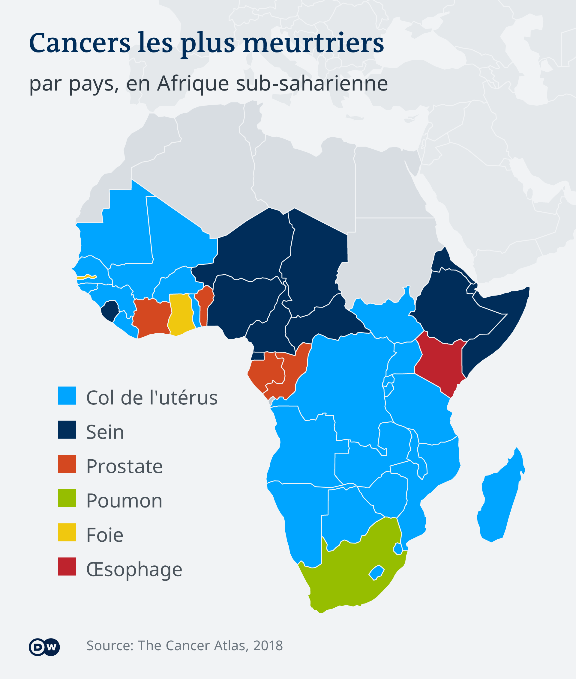Infografik Karte Afrika Krebsarten FR