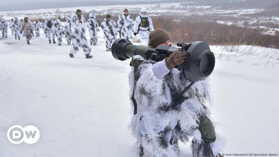 Medien: Ukraine bittet Bundesregierung offiziell um Waffen