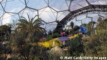 ST AUSTELL, UNITED KINGDOM - MARCH 17: Visitors walk among the flowers inside one of the biodomes at the Eden Project on March 17 2009 near St Austell, England. After one of the coldest winters for decades many plants both inside and outside the biodomes are in full bloom, helped by the recent mild weather. The Eden Project in Cornwall - which opened in 2001 and has attracted over one million visitors - showcases 100,000 plants from around the world in two giant transparent domes, one of which is the world�s largest greenhouse each recreating different climate conditions, (Photo by Matt Cardy/Getty Images)