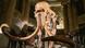 Imagen referencial de un esqueleto de mamut exhibido en Francia. Imagen referencial de un esqueleto de mamut exhibido en Francia.