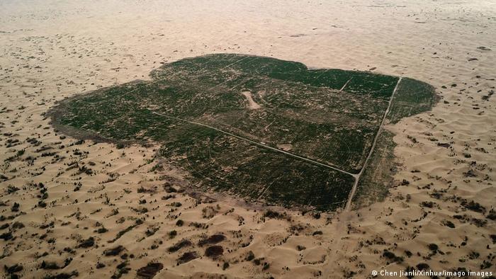Залесяването на пустинята Кубуки помогна за намаляване на пясъчните бури в Пекин