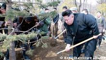 epa04645053 A picture made available by the North Korean Central News Agency (KCNA) on 03 March 2015 shows North Korean leader Kim Jong-un (R) planting trees during an event to promote forestation, in Pyongyang, North Korea, 02 March 2015. EPA/KCNA BEST QUALITY AVAILABLE -- SOUTH KOREA OUT ++ +++ dpa-Bildfunk +++