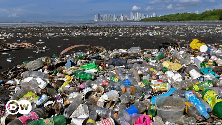 Plastikzertifikate: gut fürs Klima oder Greenwashing?