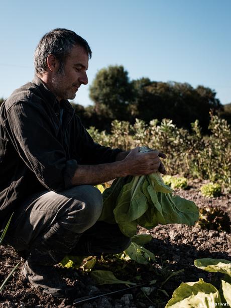 Jaume Adrover a farmer on Mallorca tending to his crops