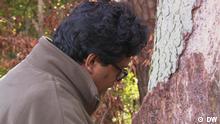 O silvicultor indiano que salva árvores alemãs
