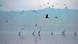 ΗΠΑ, Καλιφόρνια, Salton Sea, κοίτασμα, λίθιο ΗΠΑ, Καλιφόρνια, Salton Sea, κοίτασμα, λίθιο