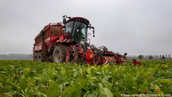 В Чехия агробароните вече са нежелани. В страната предстои същинска