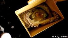 Saving Mexico's octopuses from warming waters and overfishing