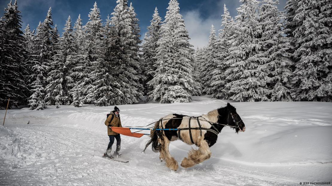 Um homem de touca e óculos de inverno pratica esqui nos alpes franceses. Ele é puxado por um cavalo preto e branco, que cavalga sobre a neve. Ao fundo, árvores estão esbranquiçadas, também cobertas de neve.