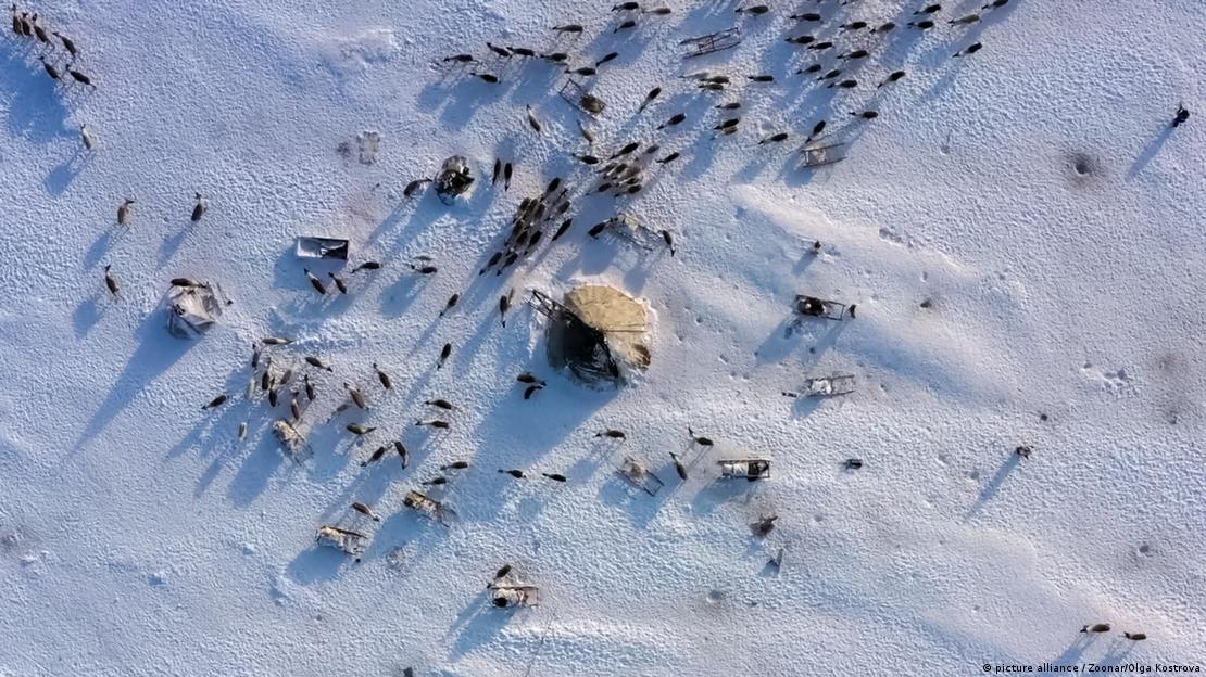 Uma foto aérea mostra renas em volta de uma cabana na comunidade saami, que habia a região norte de países como Finlândia, Noruega e Suécia.