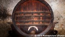 Im Fasskeller vom Residenzschloss Ludwigsburg steht das groesstes Wein-Fass in Wuerttemberg mit einem Fassungsvermoegen von 90000 Liter.. 14.09.19