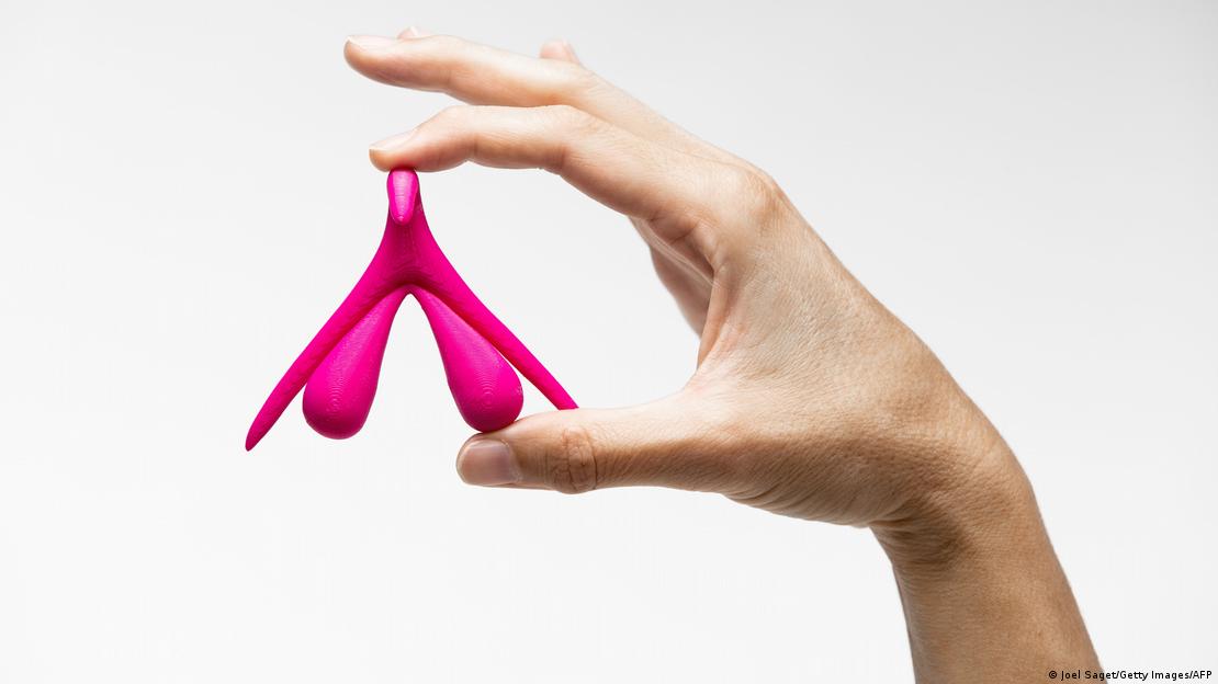 Bir el, üç boyutlu bir klitoris maketi tutuyor
