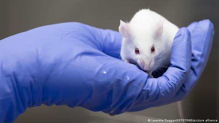 Schweiz Volksabstimmung