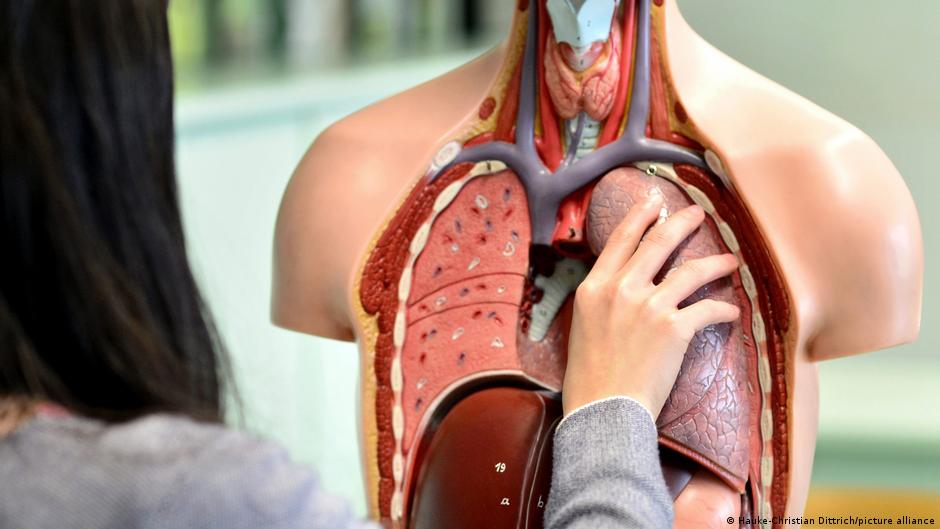 Edukacja zdrowotna w szkole. Tego chce większość Niemców