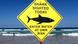 A surfer carries his board into the water next to a sign declaring a shark sighting on Sydney's Manly Beach, Australia, November 24, 2015 A surfer carries his board into the water next to a sign declaring a shark sighting on Sydney's Manly Beach, Australia, November 24, 2015