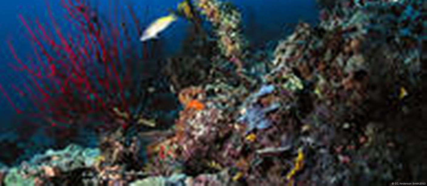 6080324_1005.jpg