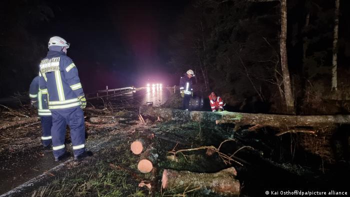 Firefighters work to clear a tree from a road in the Sauerland region of Germany