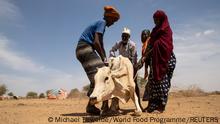 Residents attempt to assist a cow affected by the effects of the drought situation in Adadle district, Biyolow Kebele in Somali region of Ethiopia, in this undated handout photograph. Michael Tewelde/World Food Programme/Handout via REUTERS THIS IMAGE HAS BEEN SUPPLIED BY A THIRD PARTY. MANDATORY CREDIT.
